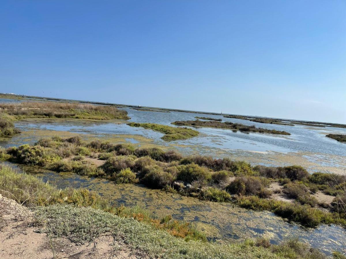 فيلا La Calma Del Delta L'Eucaliptus المظهر الخارجي الصورة